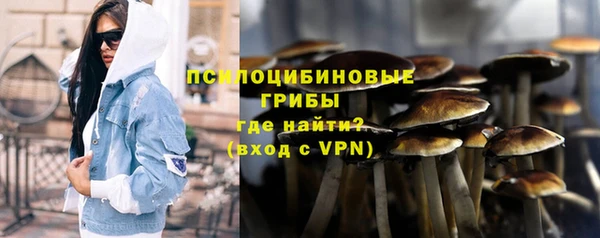 дживик Зерноград