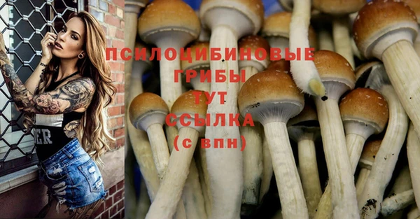 кокаин колумбия Каменка
