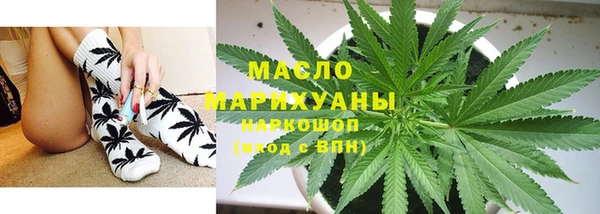 индика Каменногорск