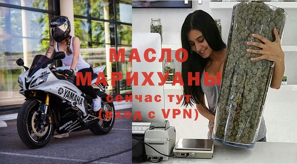 индика Каменногорск