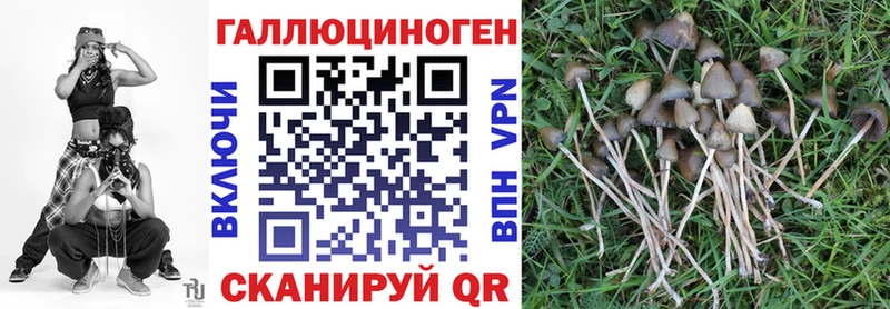 Купить  Зеленодольск  Псилоцибиновые грибы ЛСД 